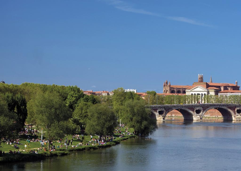 Le Clos Des Violettes Toulouse Eksteriør billede